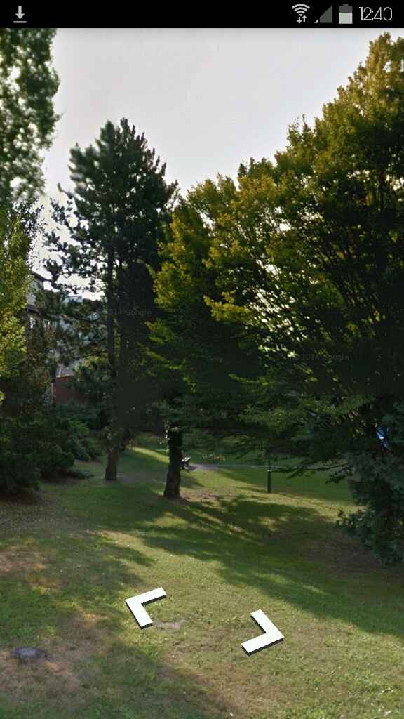 Quelques photos :) - 12