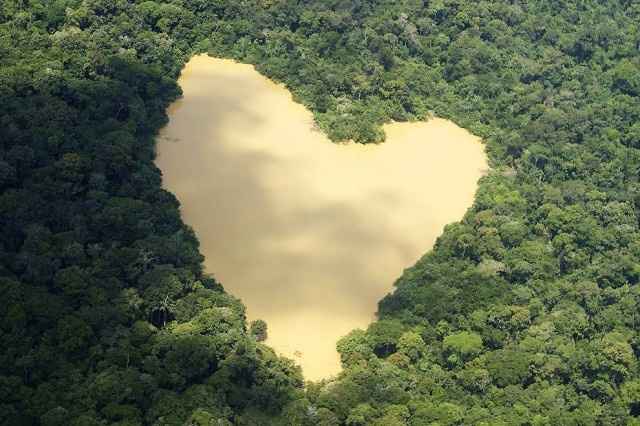 Mariage dans la jungle.. - 3