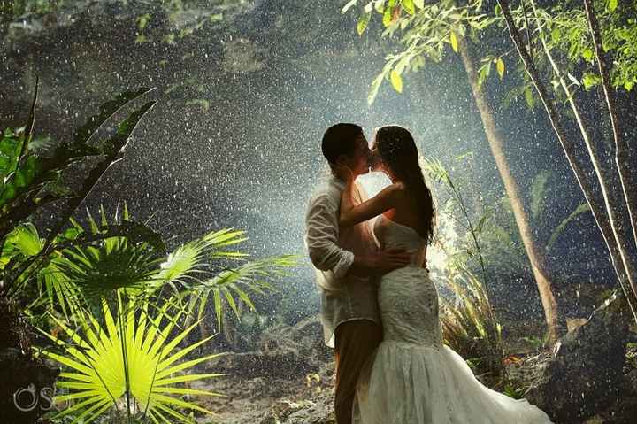 Mariage dans la jungle.. - 5