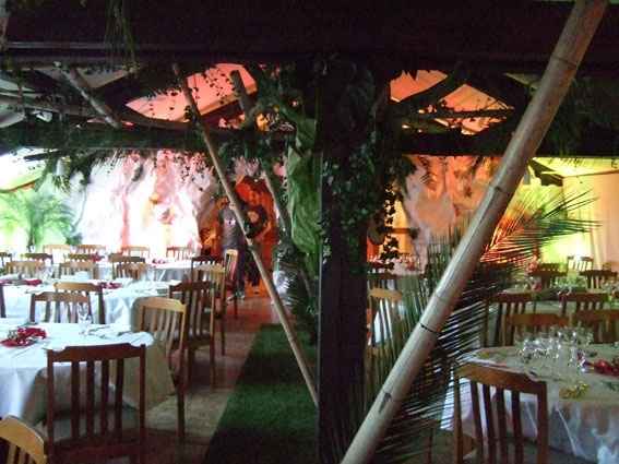 Mariage dans la jungle.. - 8