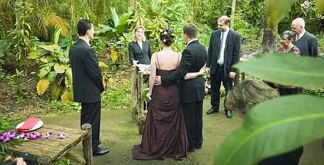 Mariage dans la jungle.. - 9