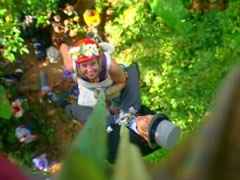 Mariage dans les arbres :) - 1