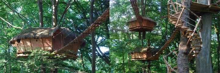 Mariage dans les arbres :) - 4