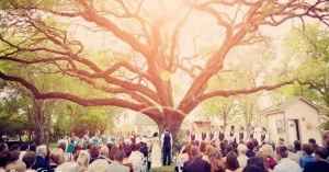 Mariage dans les arbres :) - 10