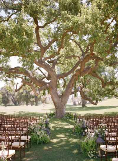 Mariage dans les arbres :) - 11