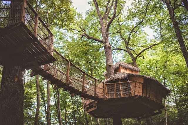 Mariage dans les arbres :) - 13