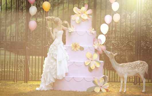 Mariage conte de fée - 17