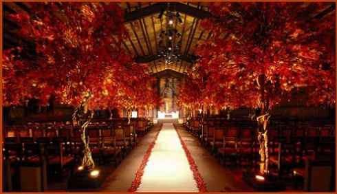 Mariage automne :) - 8