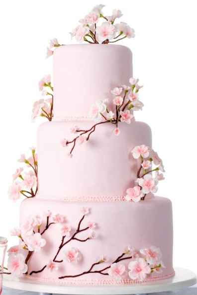 Mariage printanier :) - 22
