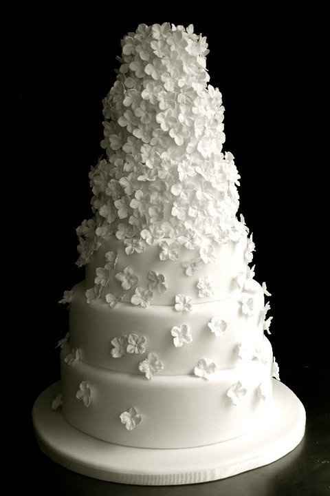 Mariage pureté - 23