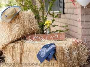 Mariage thème western - 10