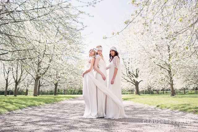 Mariage fantastique - 4