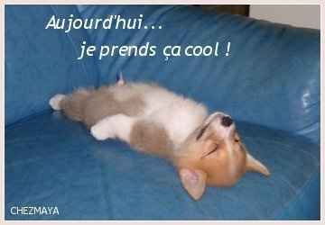 Bon ben j-17 :) - 2