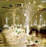 Inspiration mariage hiver.. - 10