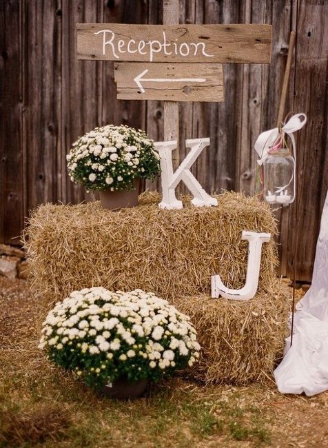 Si j organisais mon mariage champetre.. - 14