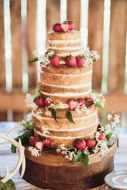 Si j organisais mon mariage champetre.. - 16