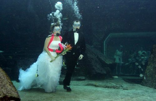 Mariage sous l eau :) - 4