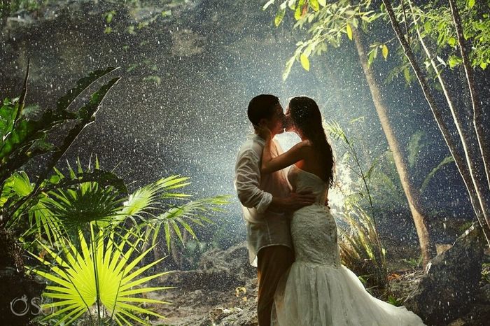 Mariage dans la jungle.. - 5