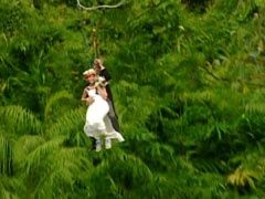 Mariage dans la jungle.. - 7