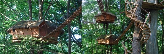 Mariage dans les arbres :) - 4