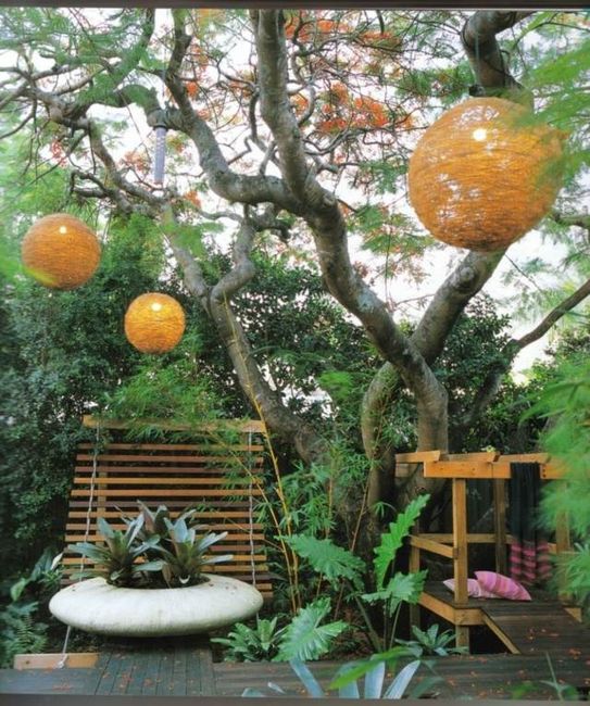 Mariage dans les arbres :) - 5