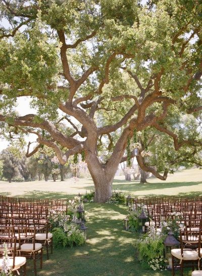 Mariage dans les arbres :) - 11