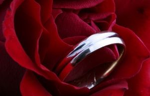 Mariage theme rose rouge - 9