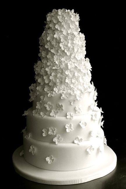 Mariage pureté - 23