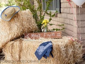 Mariage thème western - 10