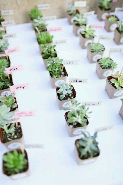 Mariage garden party - 15