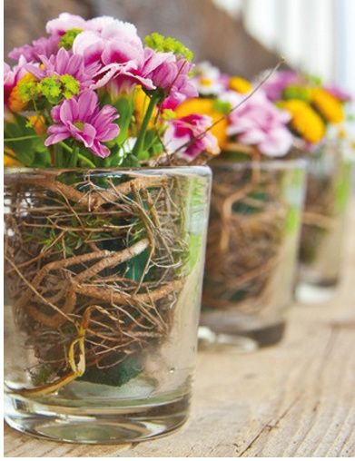 Mariage garden party - 18