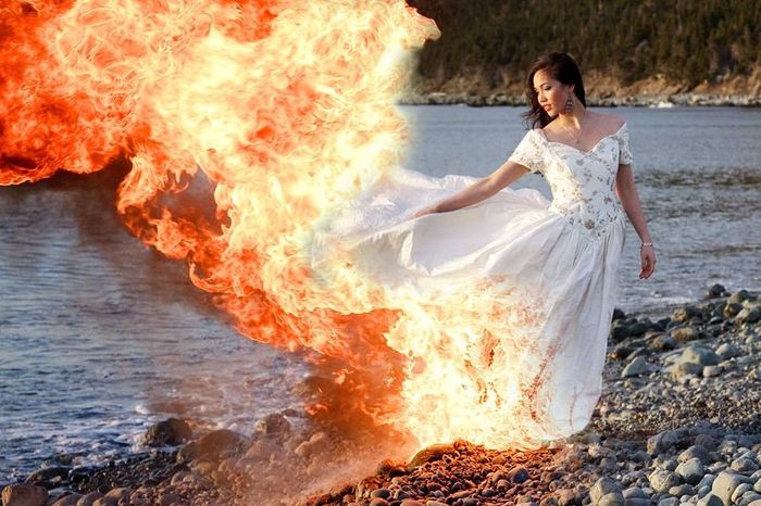 Sélection trash the dress - 26