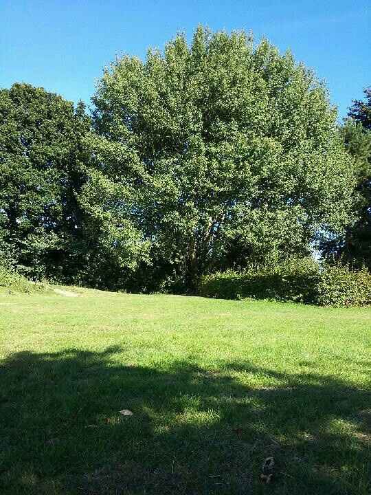 Lieu séance photo de mariage - 4