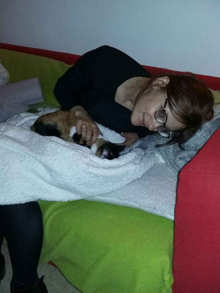 Avant / après les cheveux! - 2