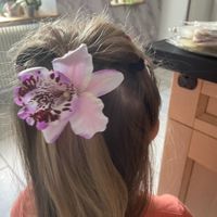 Nous nous marions le 17 Août 2024 - Ardennes - 2