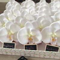 Nous nous marions le 17 Août 2024 - Ardennes - 3