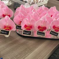 Nous nous marions le 17 Août 2024 - Ardennes - 4