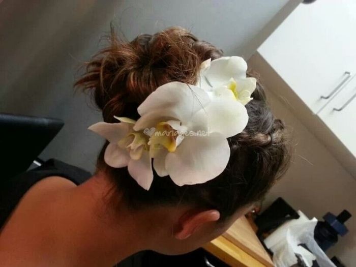 Coiffure