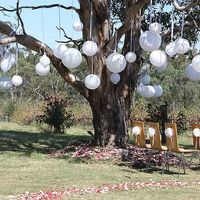 Jardin décoré de ballon