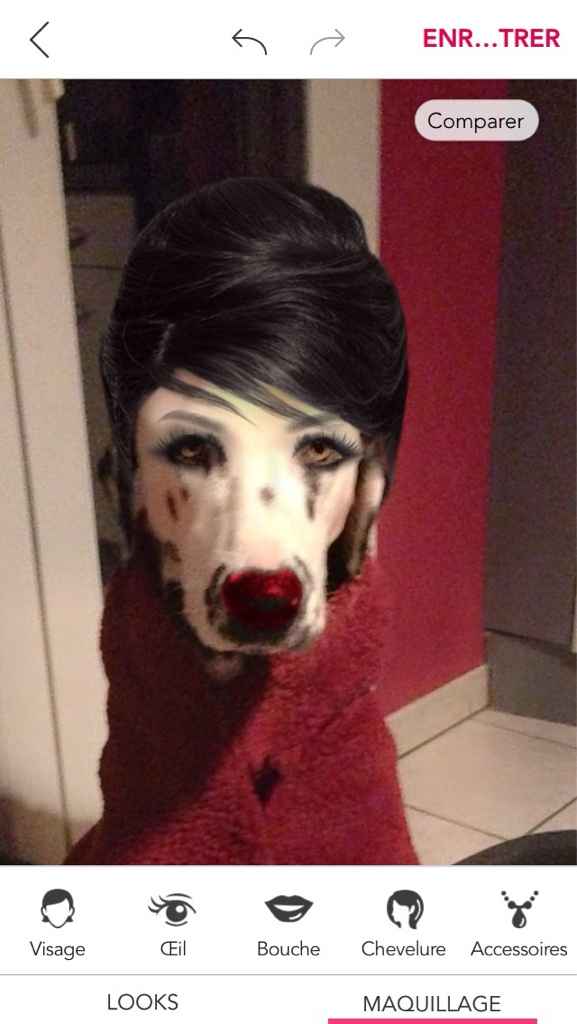 Prendre son chien le jour de son mariage - 1