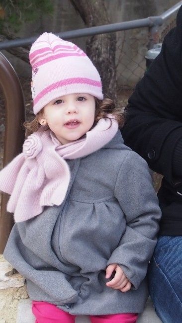 Notre puce