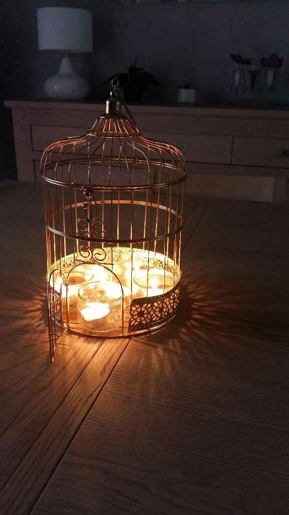 Cage a oiseaux et carte du monde - 2