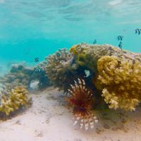 Vos destinations de lune de miel ? - 4