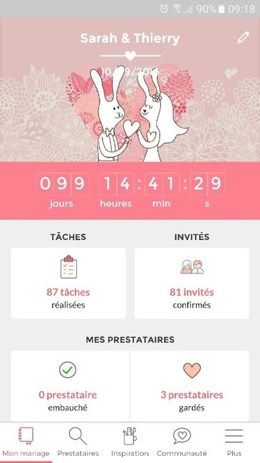 Oú en sont vos compteurs Mariages.net ? - 1