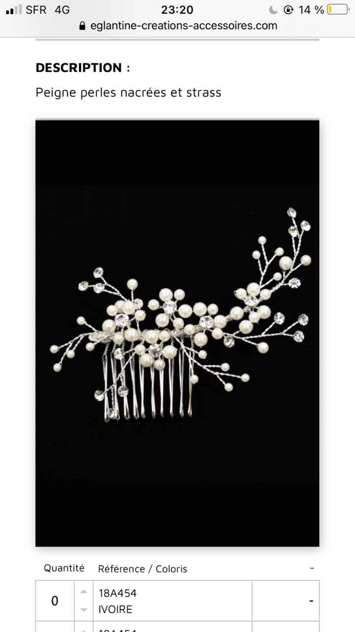 Choix des bijoux - 1