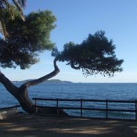 Lieu photos de couple