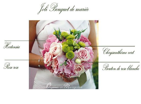 Chrysanthèmes ?? - 1