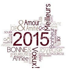Meilleurs Voeux 2015
