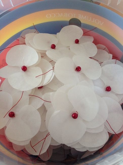 Suite orchidées DIY 