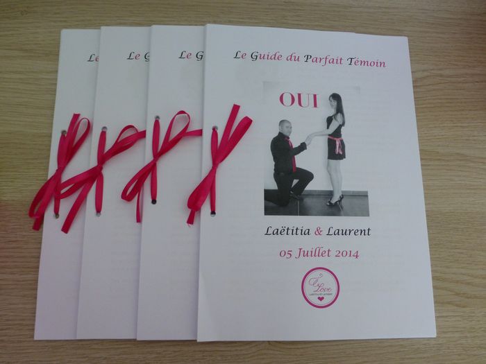 Notre Livret du Parfait Témoin DIY